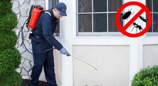 Derepazarı Kemirgen İlaçlama böcek ilaçlama ve haşere kontrolü — ilaclama-tr.com